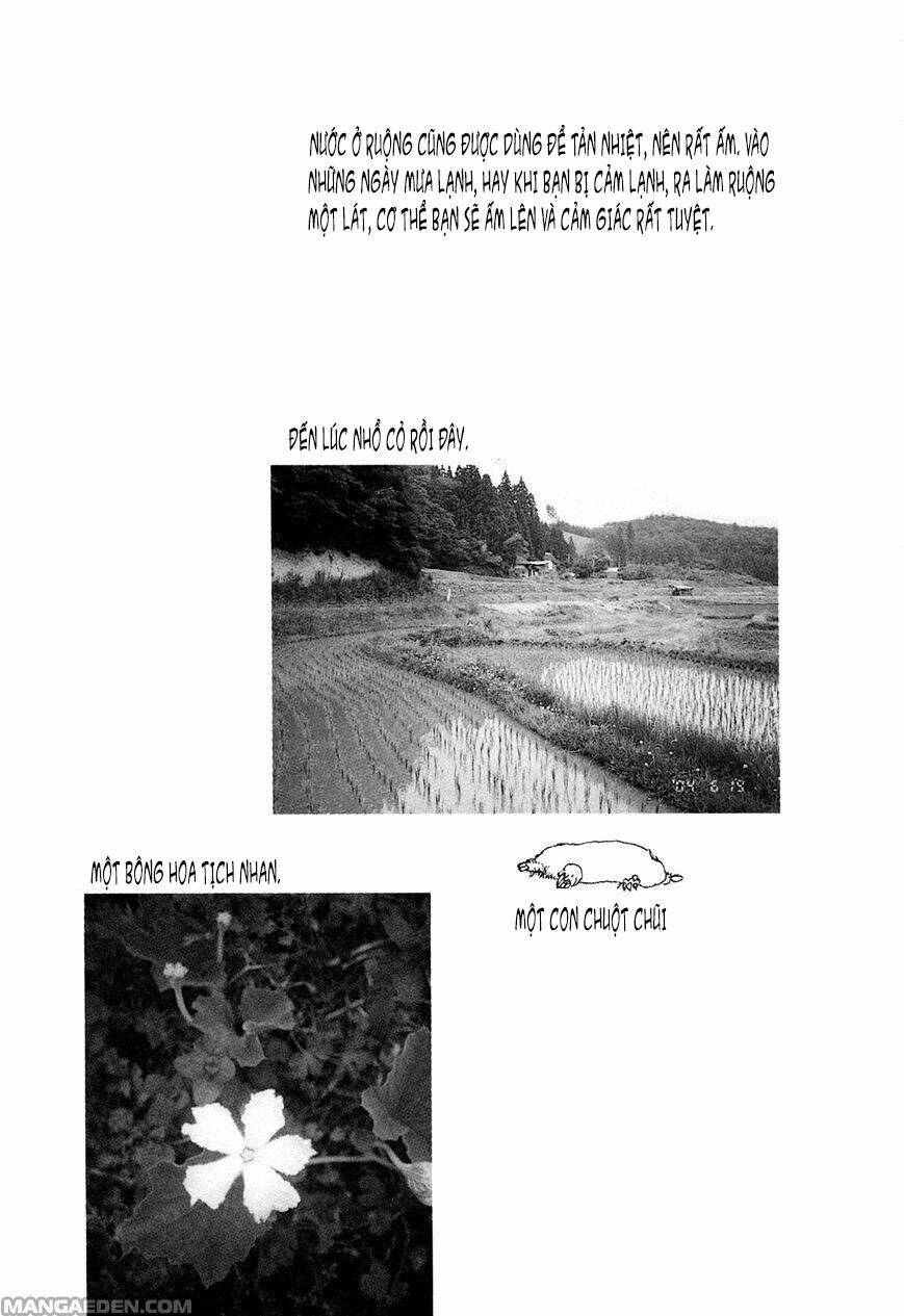 little forest chapter 23 9