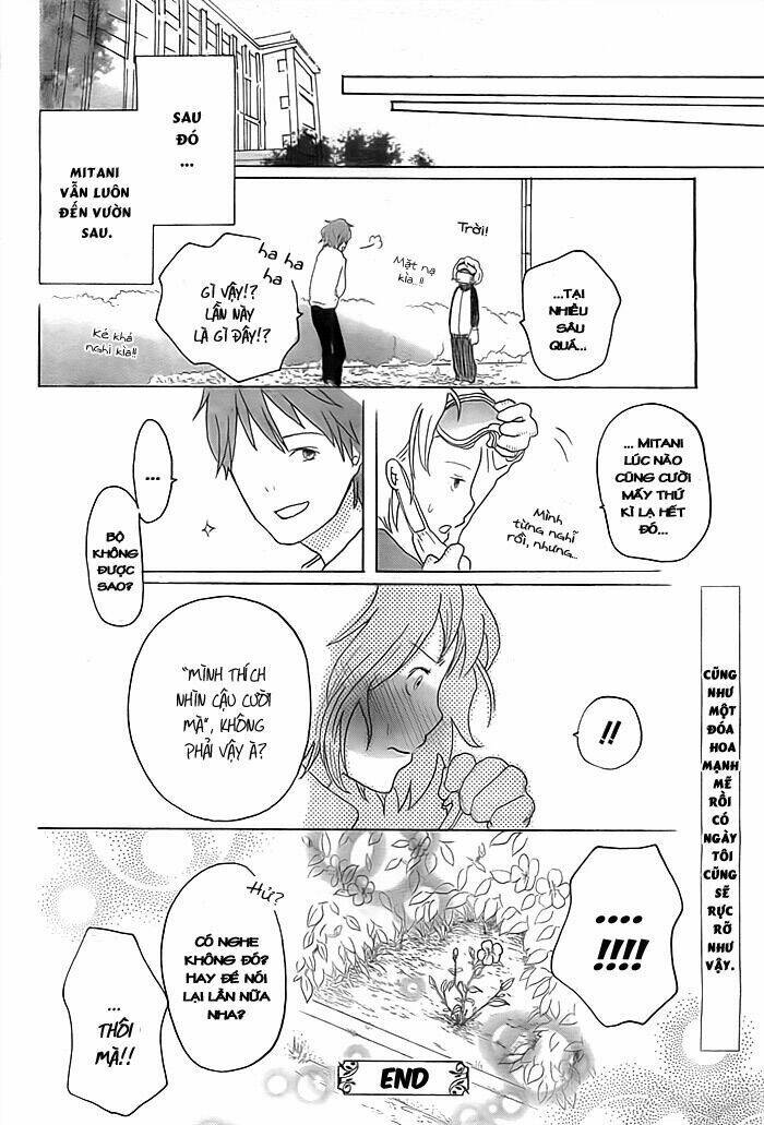 tổng hợp one shot. chapter 200 28