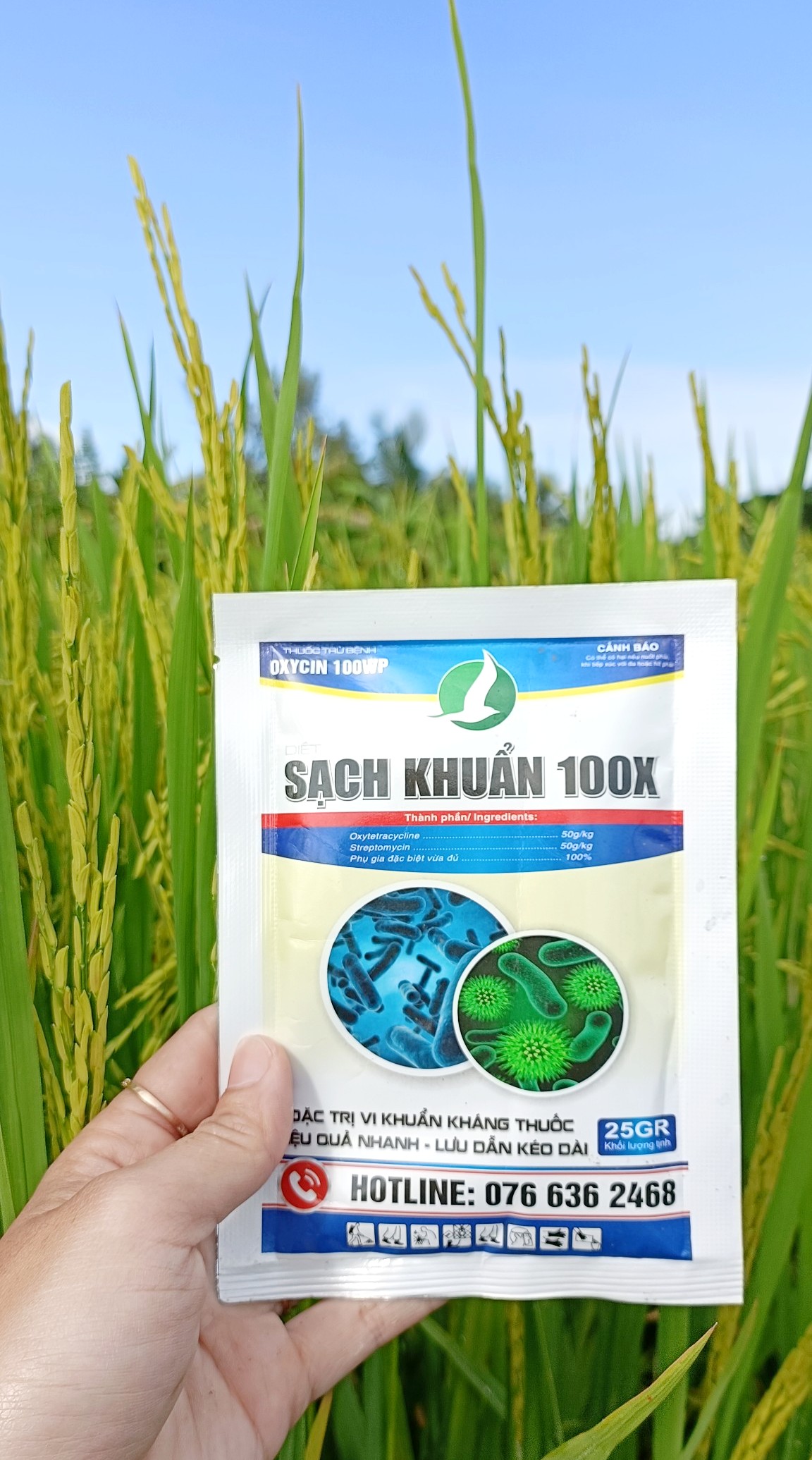 THUỐC TRỪ BỆNH ĐẶC TRỊ VI KHUẨN, CHÁY BÌA LÁ, THỐI NHŨN, THỐI LÁ,... - SẠCH KHUẨN GÓI 25GAM