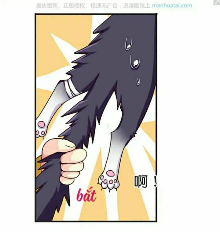 tân quang thiên chapter 39 24