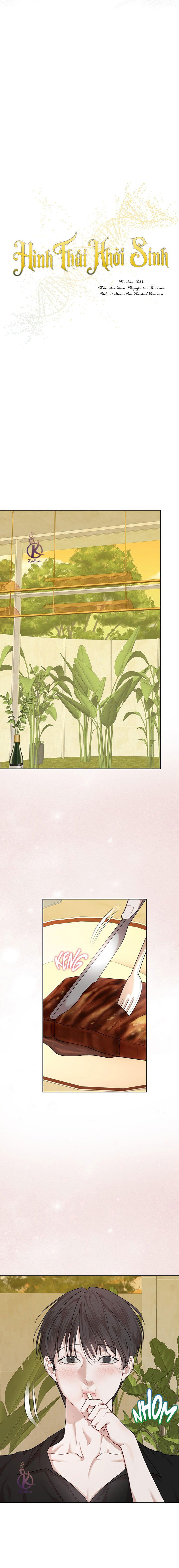 hình thái khởi sinh chapter 82 3