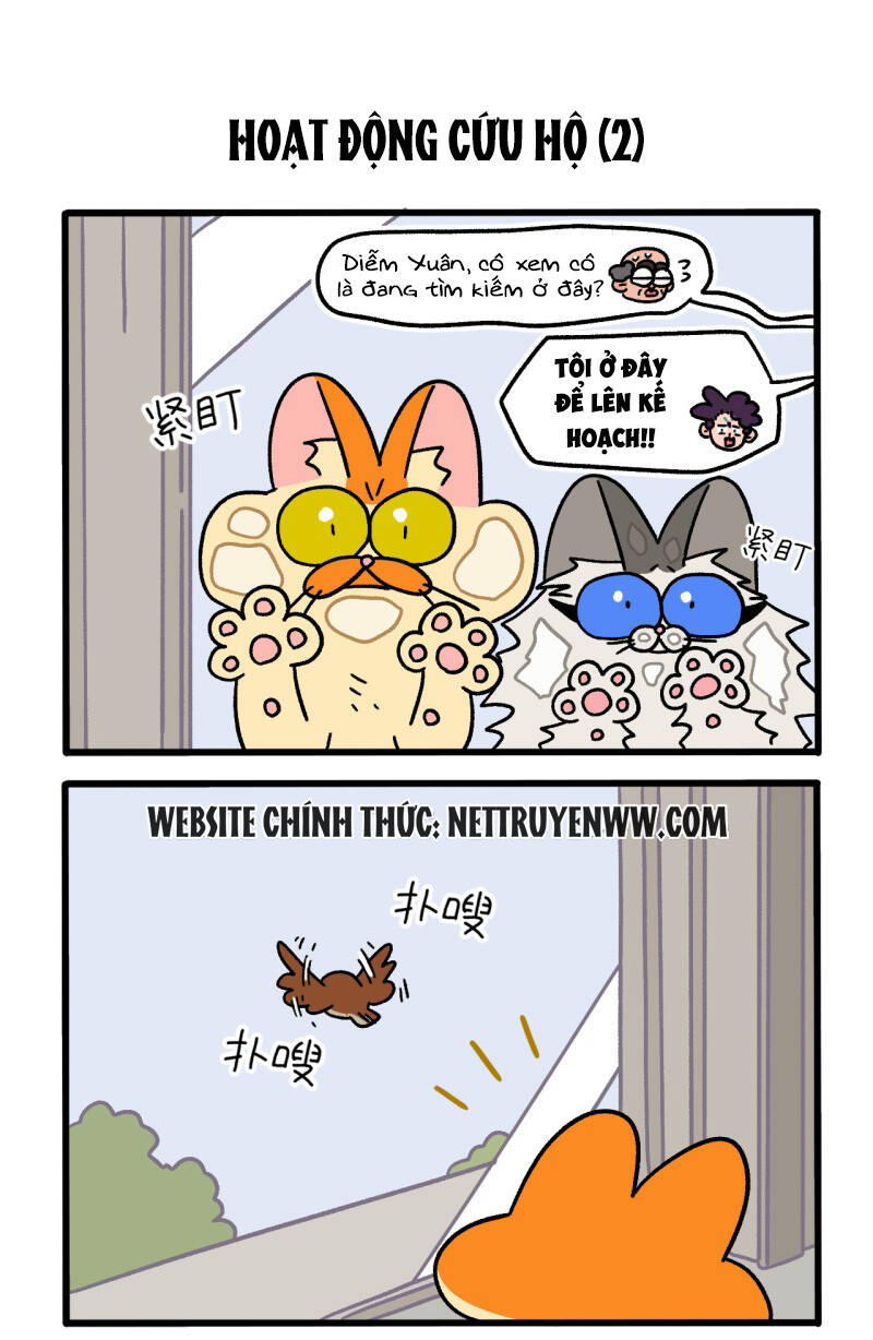 a mãn và mạch trà chapter 44 3