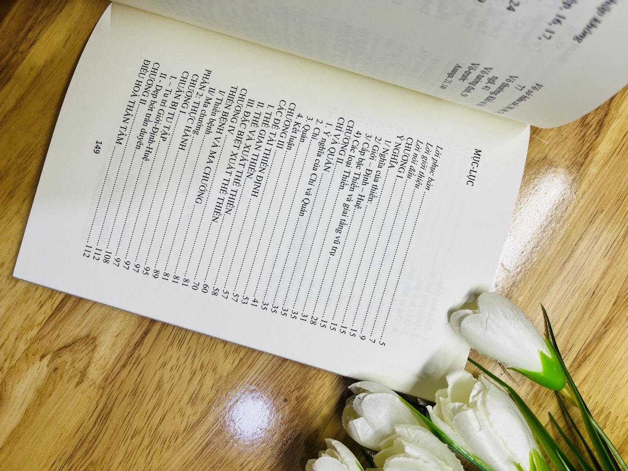 Đại Cương Thiền Quán -Tuệ Sỹ