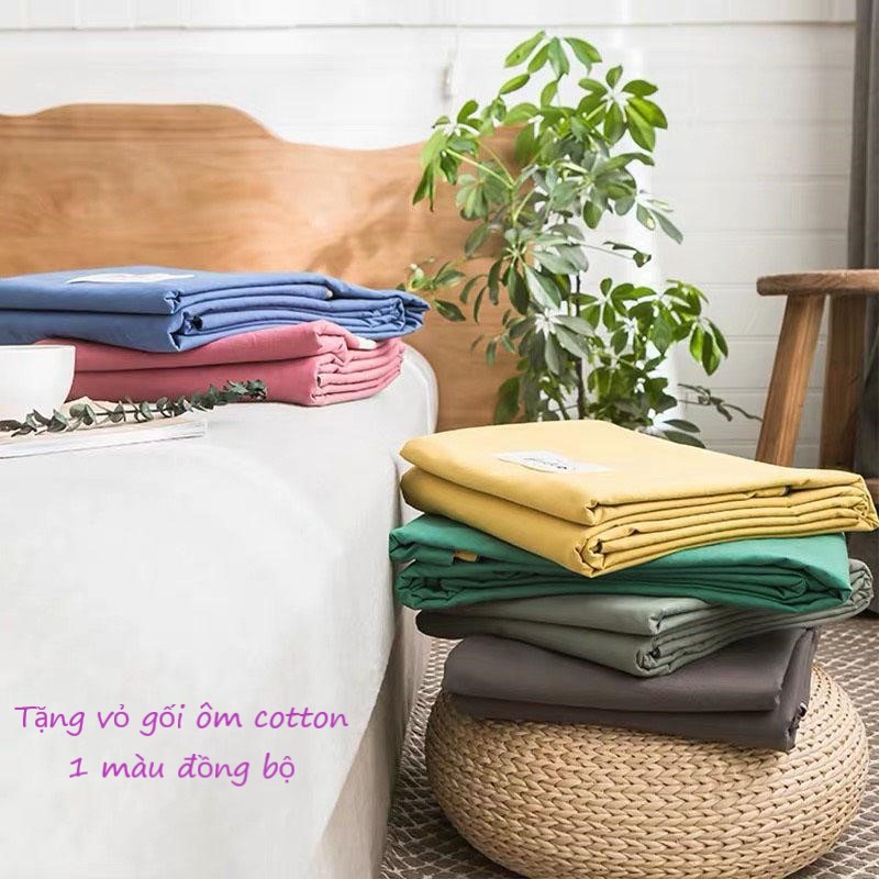 Bộ Ga Gối Cotton Tici Kẻ LIDACO Cao Cấp - Kẻ Xanh Lá - TẶNG 01 VỎ GỐI ÔM