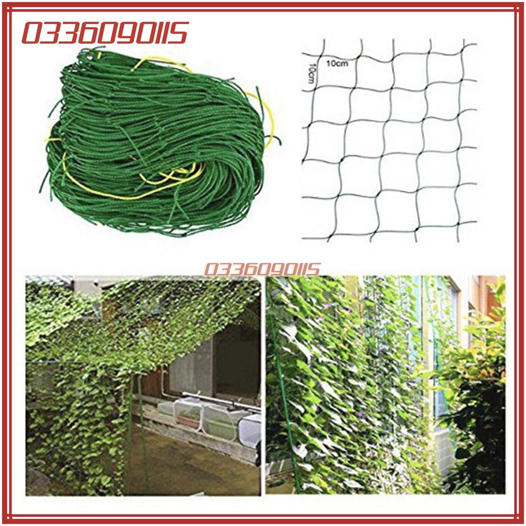 Lưới làm giàn dây leo - 0,9m x 1,8m - chất lượng cao thích hợp với bầu, bí, mướp, dưa...