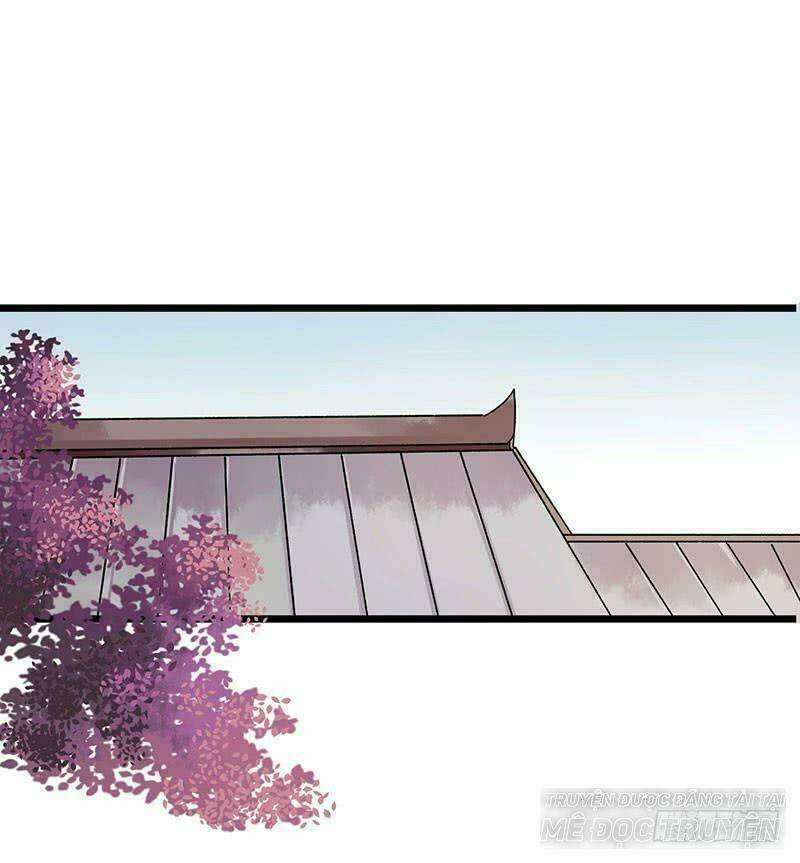 nhất đế trọng sinh mỹ nhân tâm kế chapter 12 1