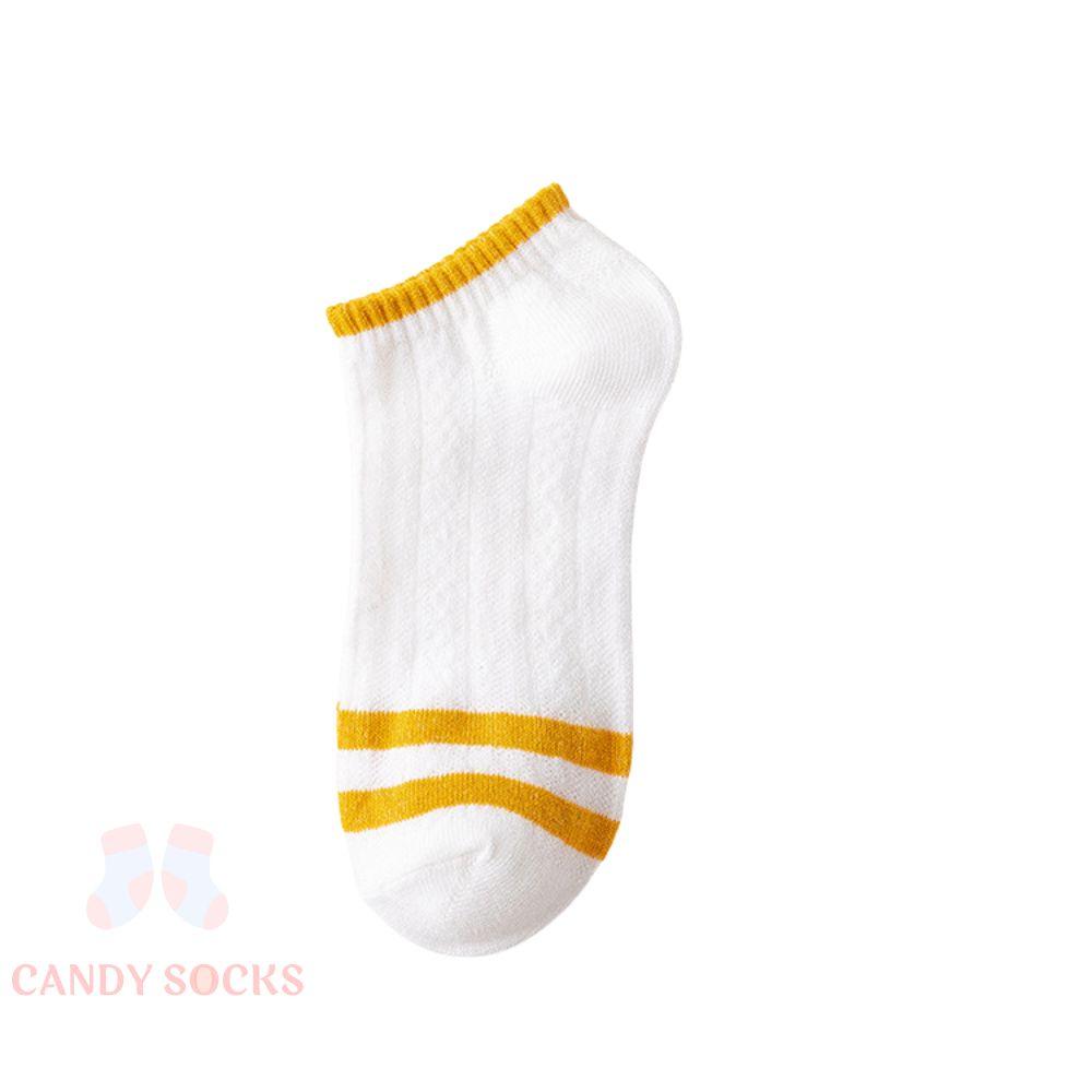 Tất nữ vớ nữ cổ thấp, Set 5 đôi tất nữ phong cách Hàn Quốc, co dãn 4 chiều, chất liệu cotton Hàn cao cấp TN-190