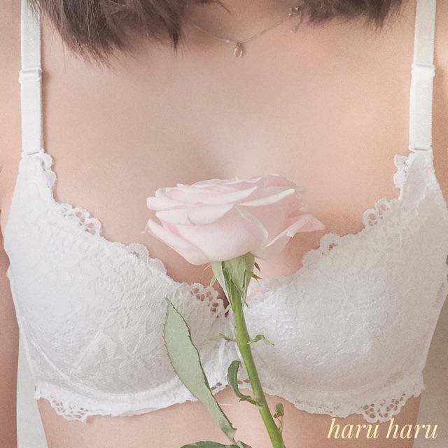 Áo lót nữ ren xịn hàng Việt Nam Haruharulabel