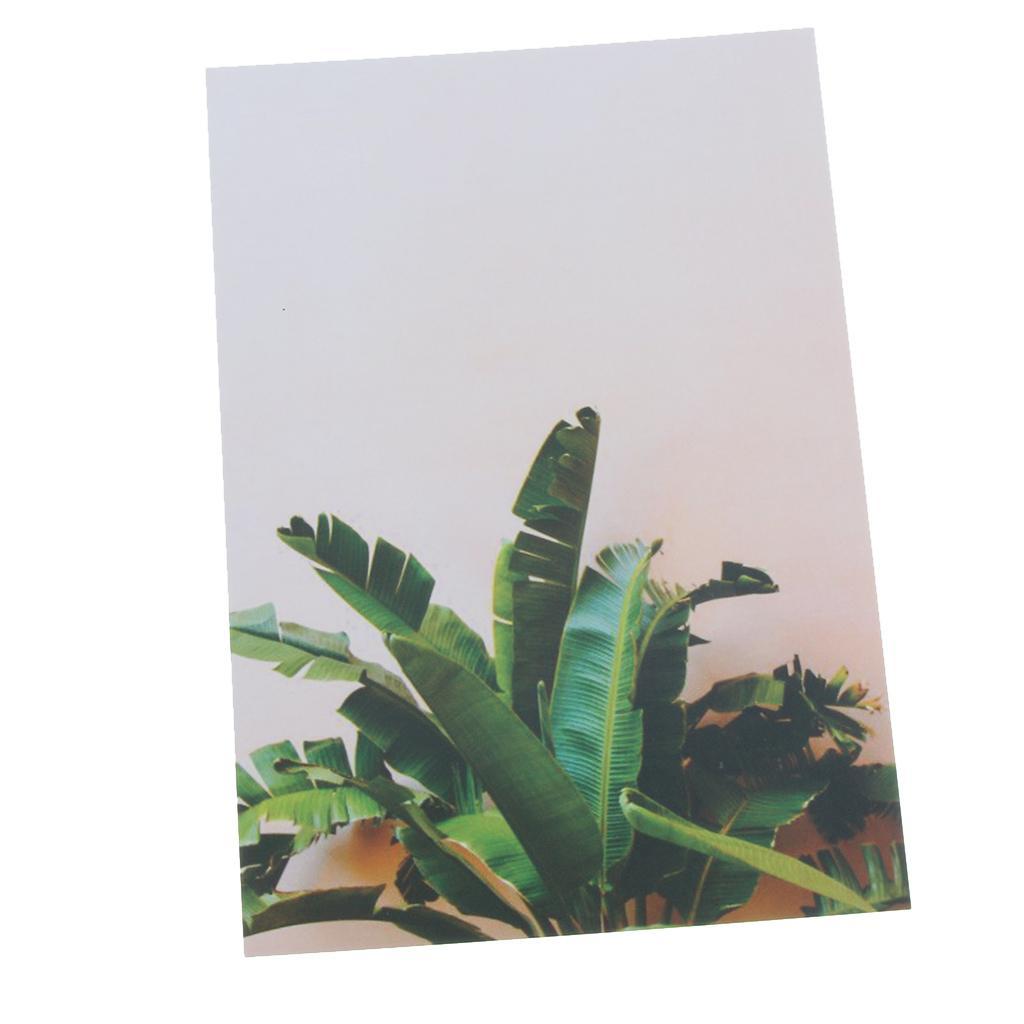 Photography Stuido Backdrop Leaf Card Picture