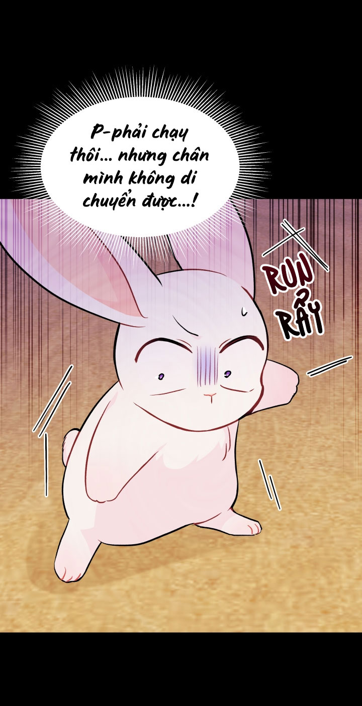 mối liên kết giữa báo đen và bé thỏ chapter 23 13
