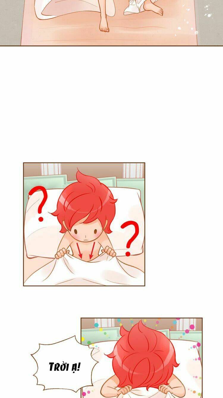 tân lang yếu tòng tiểu dưỡng khởi chapter 17 24