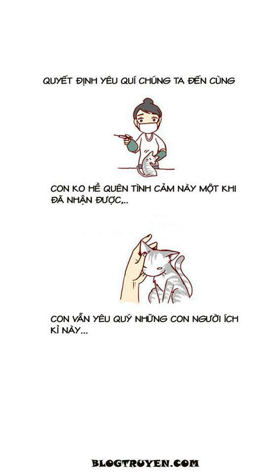 my kitty and old dog chapter 10 5