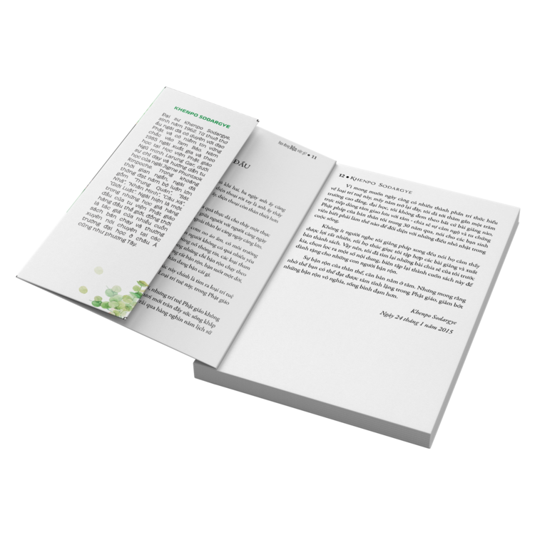 BỘ SÁCH "BẬN" - Sách Tôn Giáo, Nghệ Thuật Và Văn Hóa, Tác Giả KHENPO SODARGYE - Hiệu sách genbooks, bìa mềm, in màu