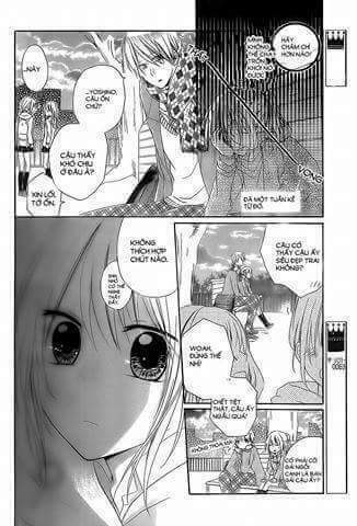 tổng hợp one shot. chapter 317 14