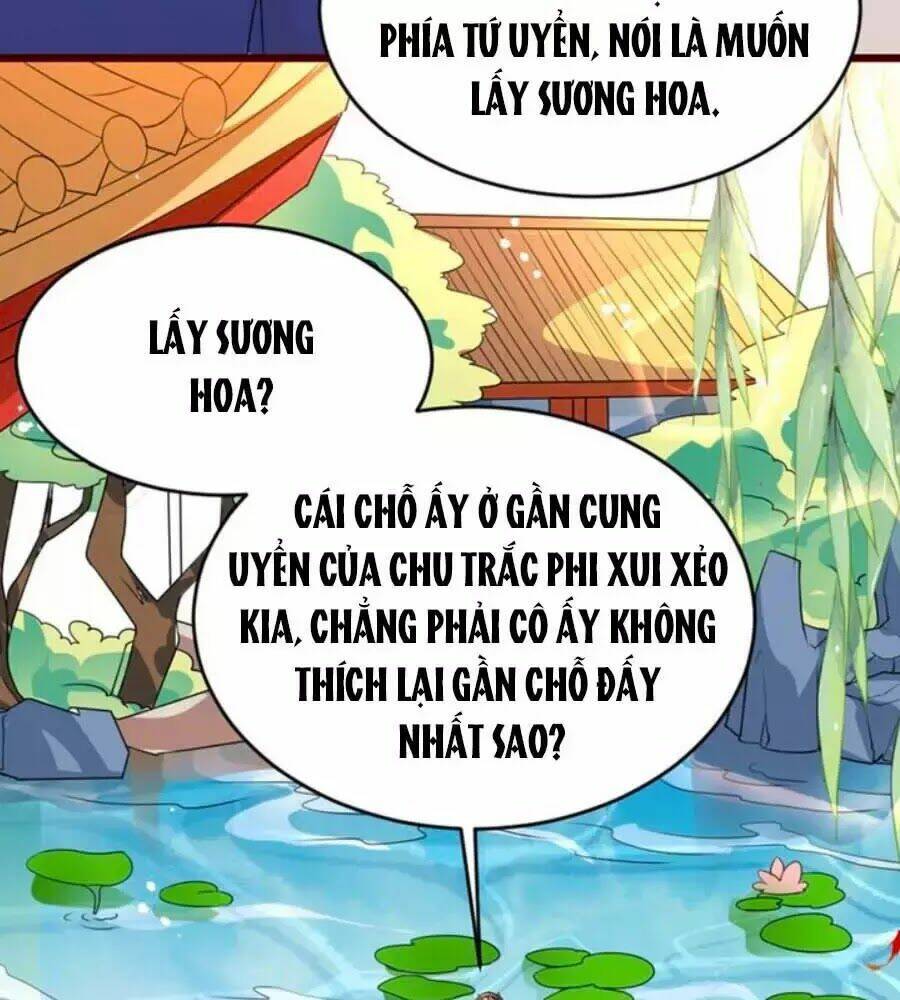 thái tử điện hạ, nô tài có hỉ rồi chapter 17 7