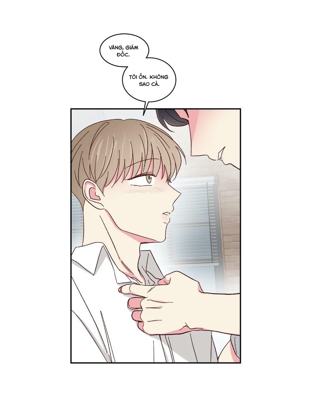 món tráng miệng của sếp tổng chapter 59 31