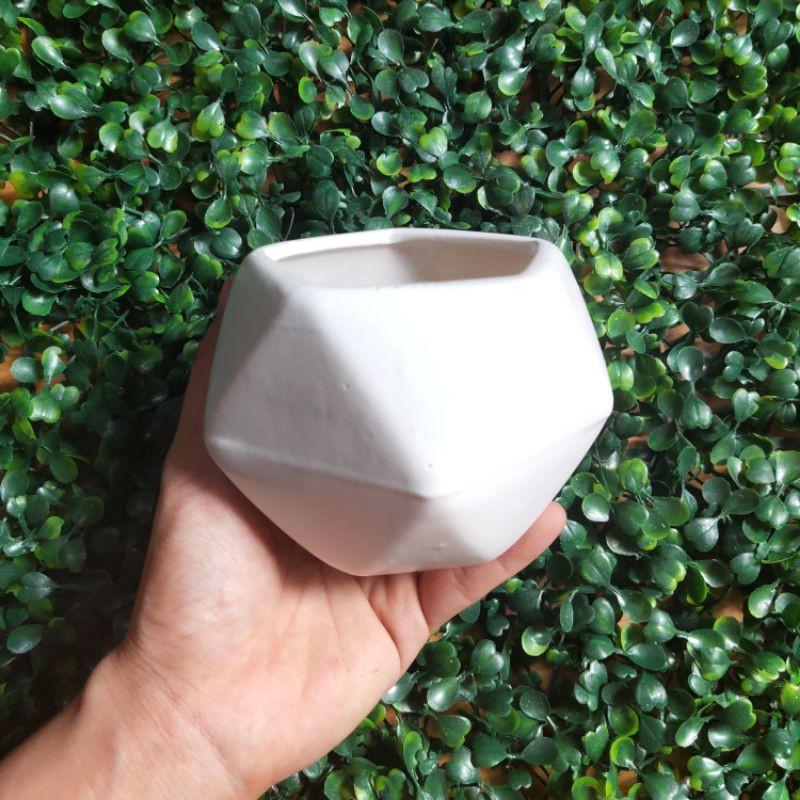 Chậu sứ đa giác thấp, chậu sứ trồng cẩm nhung, sen đá, cây mini để bàn đẹp