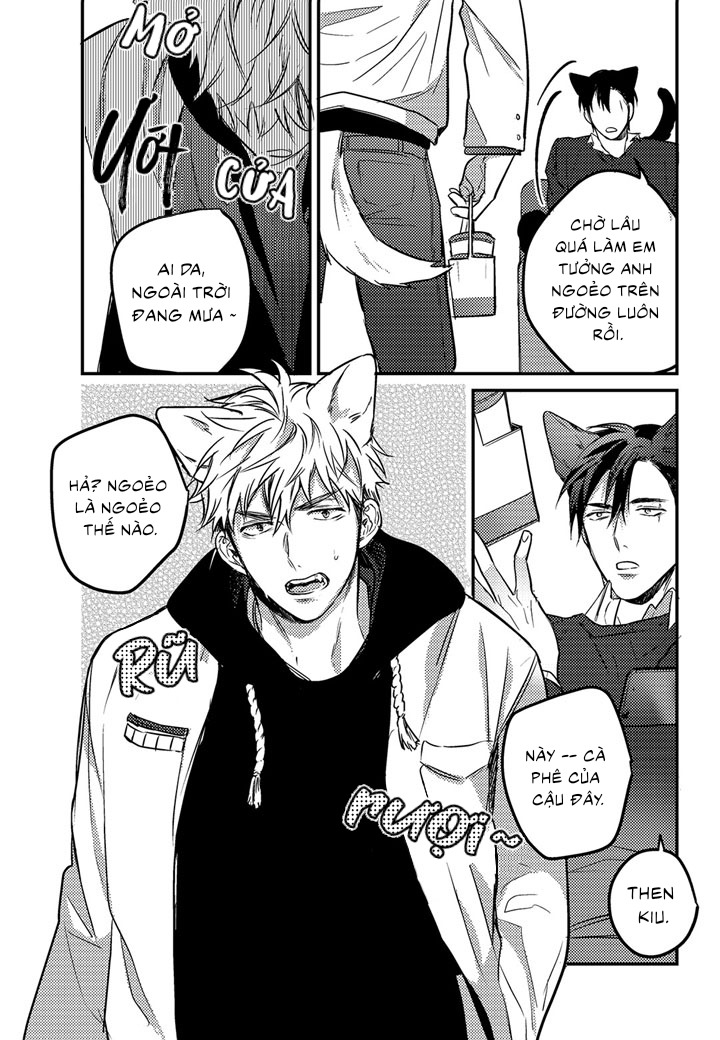 phản xạ có điều kiện chapter 9 16