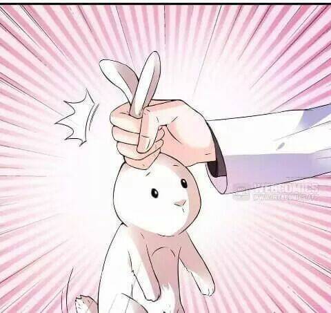 1 nửa hoàn hảo của ceo chapter 21 20