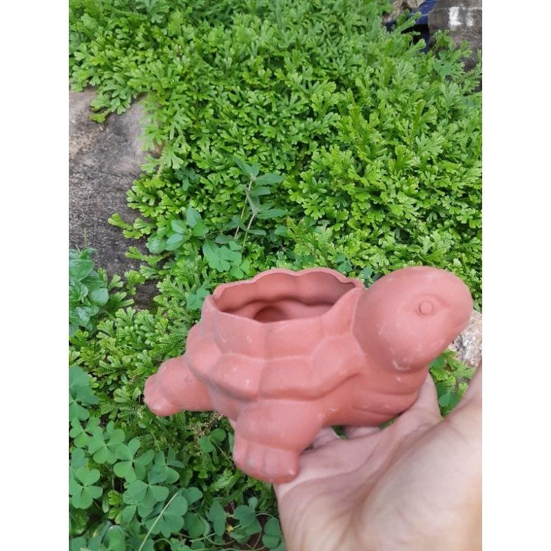 Chậu trồng cây hình rùa - rùa chậu - chậu trồng cây hình thú - chậu mini