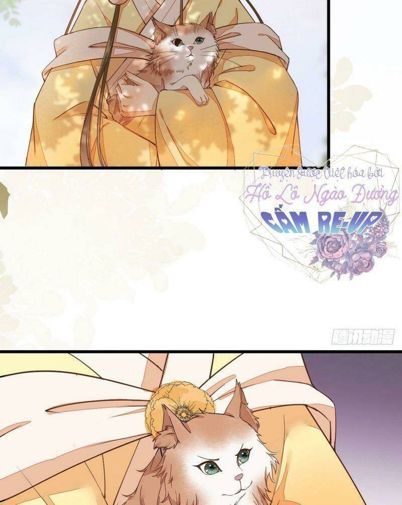 sát thủ vương phi không dễ chọc chapter 36 8