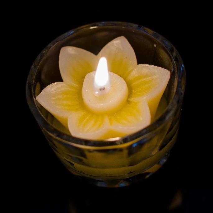 Hộp nến 6 ly nhiều màu - nến ly hoa hồng hoa cúc - cốc nến trang trí cao cấp candle shop