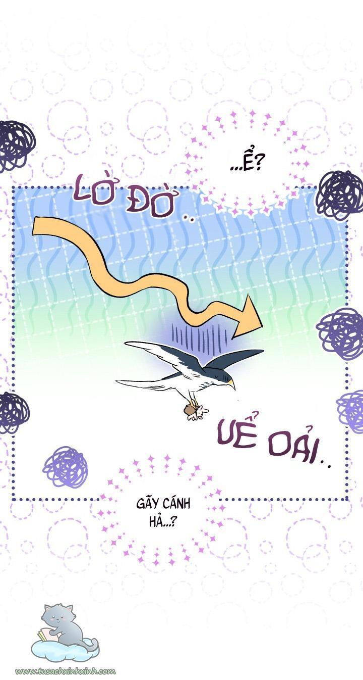 quan hệ cộng sinh giữa báo đen và thỏ trắng chapter 60 39