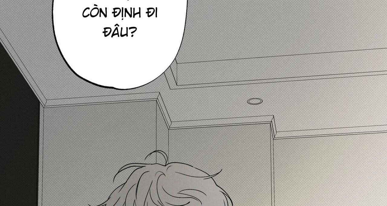 chàng giao pizza và gold palace chapter 47 203