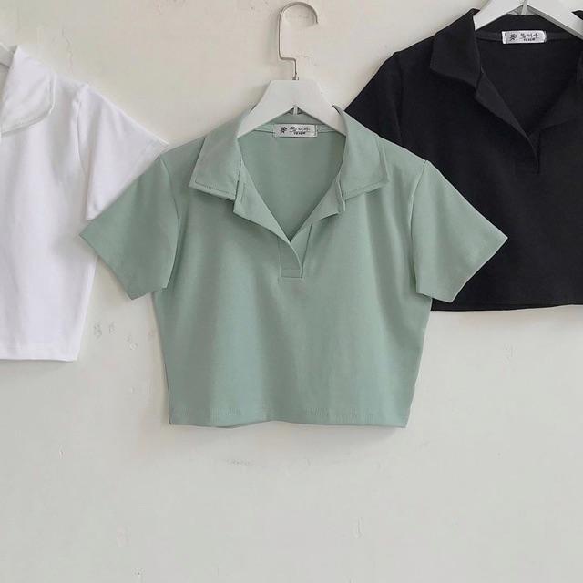 Áo croptop polo cổ bẻ trơn 4 màu