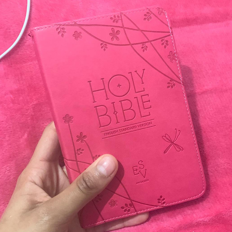 Holy Bible : English Standard Version (Esv) Anglicised Pink Compact Gift Edition with Zip