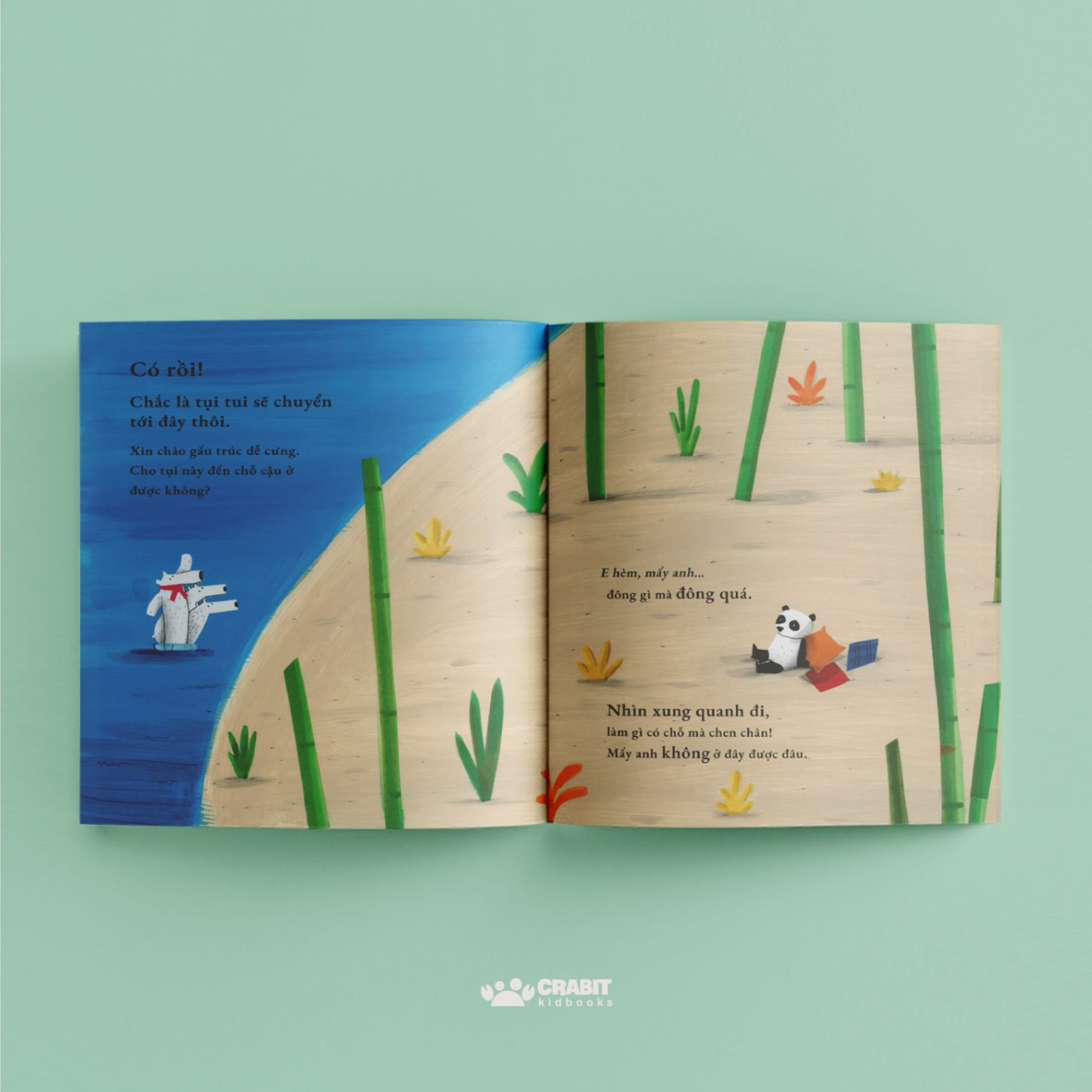 Cậu Luôn Được Đón Chào! - Bìa Cứng