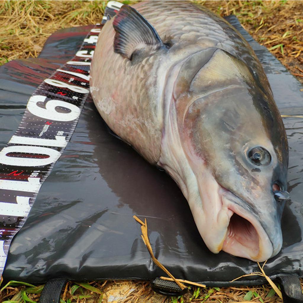 Folding Unhooking Mat, Professional Carp Fishing Floor Landing Mat Splash Mat - Green