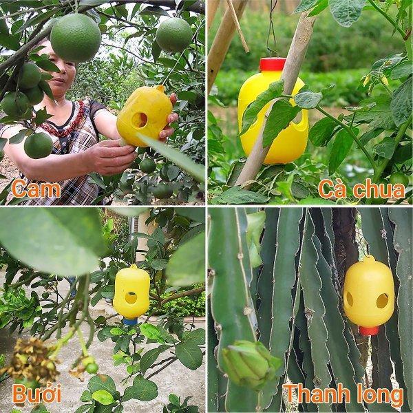 Lồng Bẫy Ruồi Vàng Nhựa Diệt Ruồi Đục Trái - Hàng Đẹp