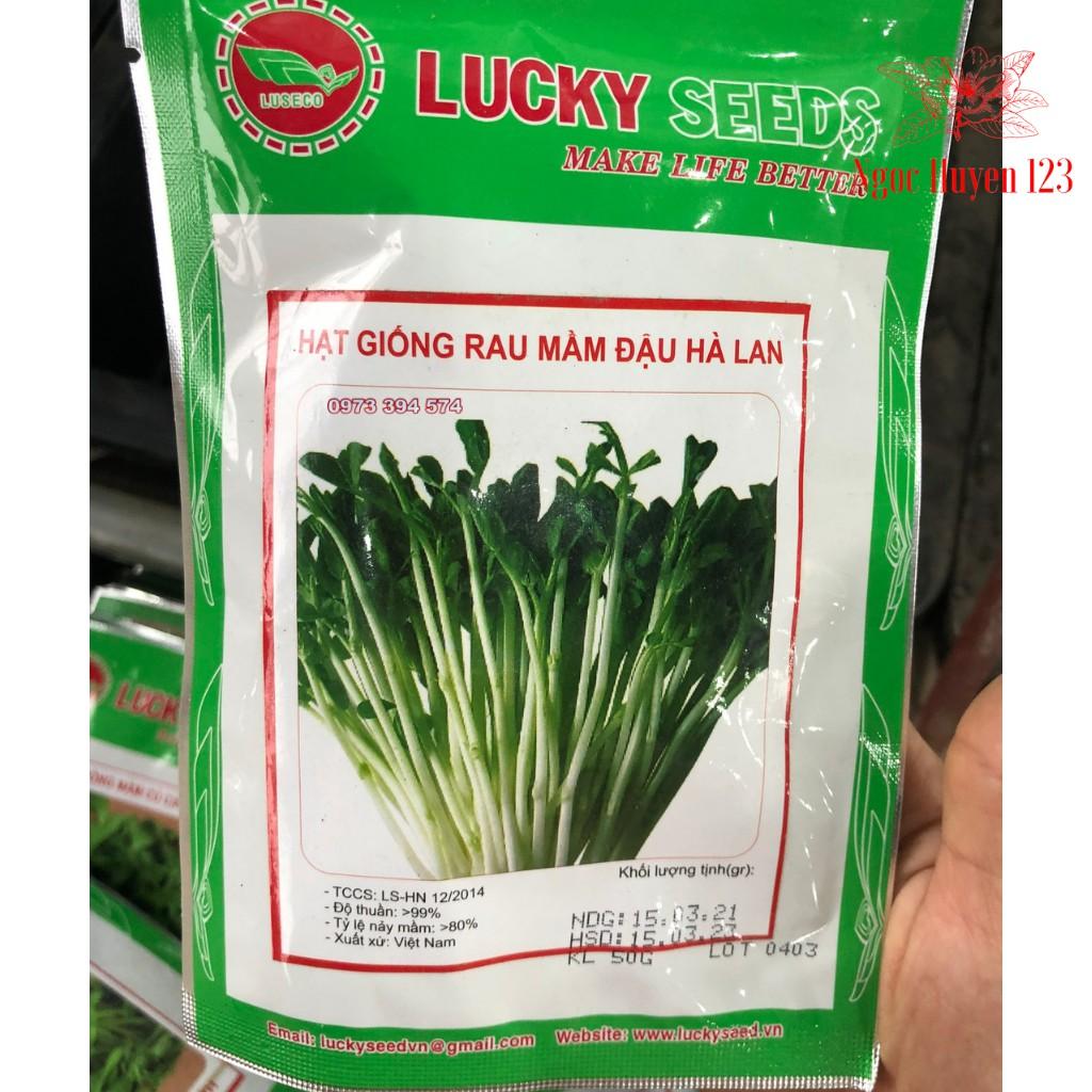 Hạt Giống Rau Mầm Đậu Hà Lan- Giống F1 Năng suất cao