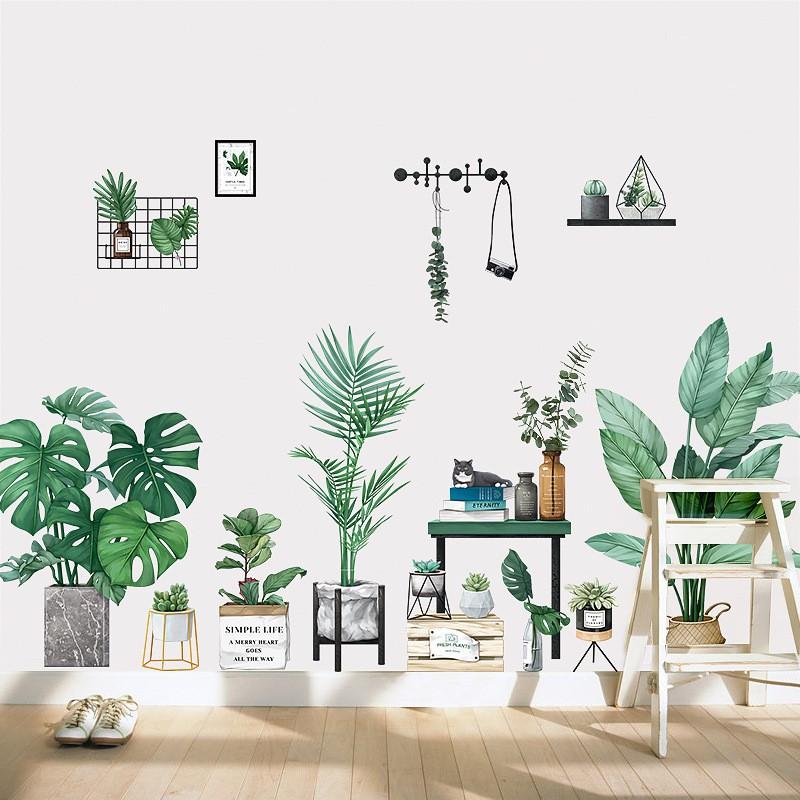 DECAL DÁN TƯỜNG PHONG CÁCH HÀN QUỐC NHIỆT ĐỚI Chậu cây xanh SIÊU TO NHẤT 01