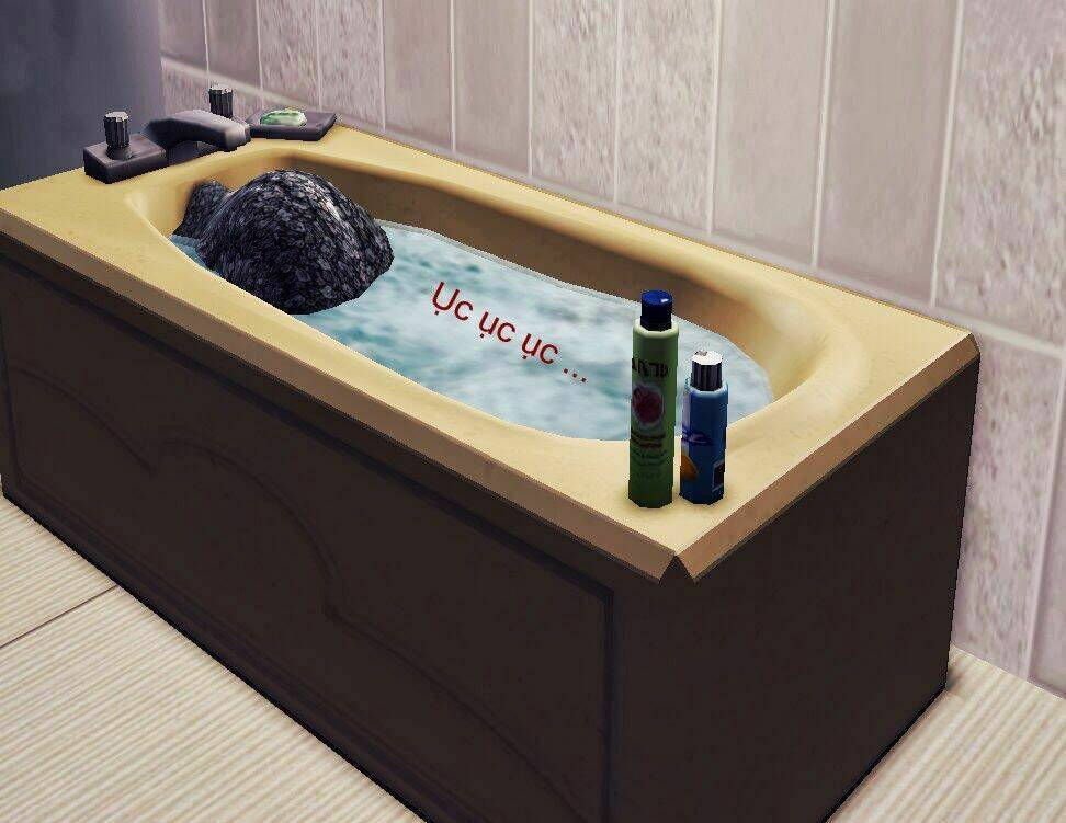 no name ( the sims ) chapter 3 77