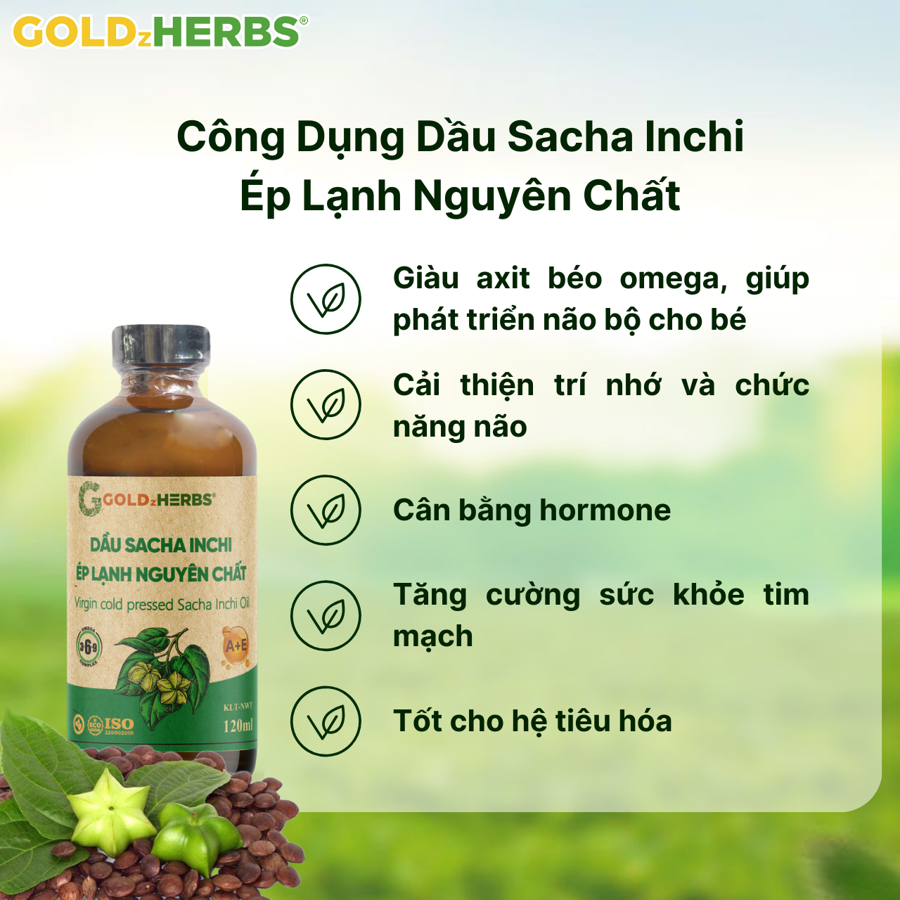 Dầu Sacha Inchi Ép Lạnh Nguyên Chất Goldzherbs - Chai 120ml/ 250ml