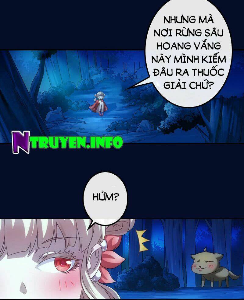 yêu phi bám lấy không buông chapter 2 6