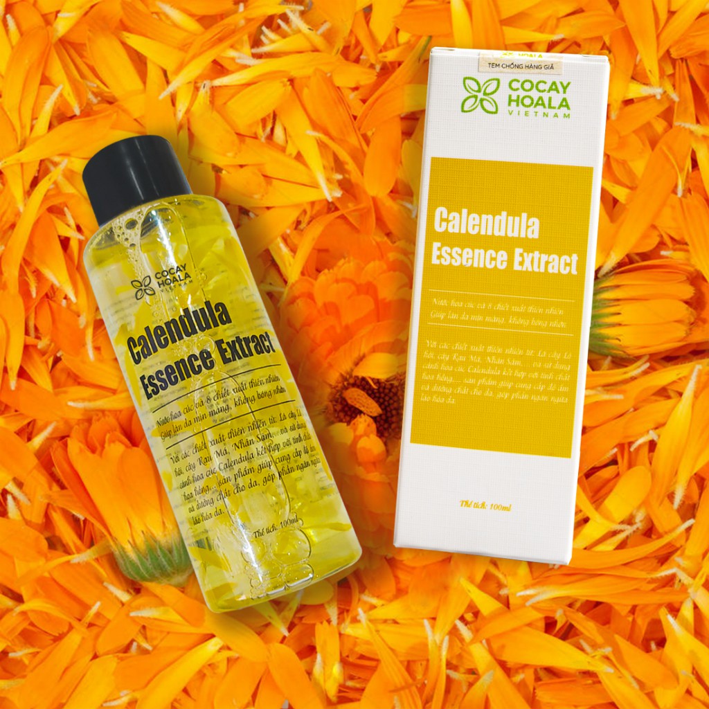 Nước thần hoa cúc 2in1 Calendula Essence Extract- Sáng da, cấp ẩm, se khít lỗ chân lông Cocayhoala 100ml