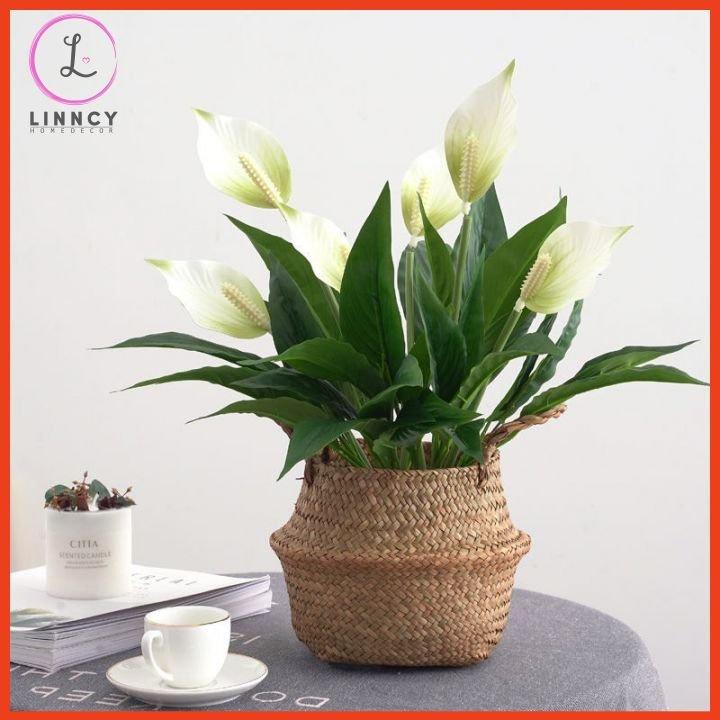 Chậu Hoa Để Bàn Bình Hoa Lan Ý Sang Trọng Cao 47cm Trang Trí Phòng Khách Cửa Hàng Văn Phòng