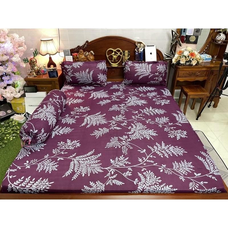 Drap thun hàn quốc