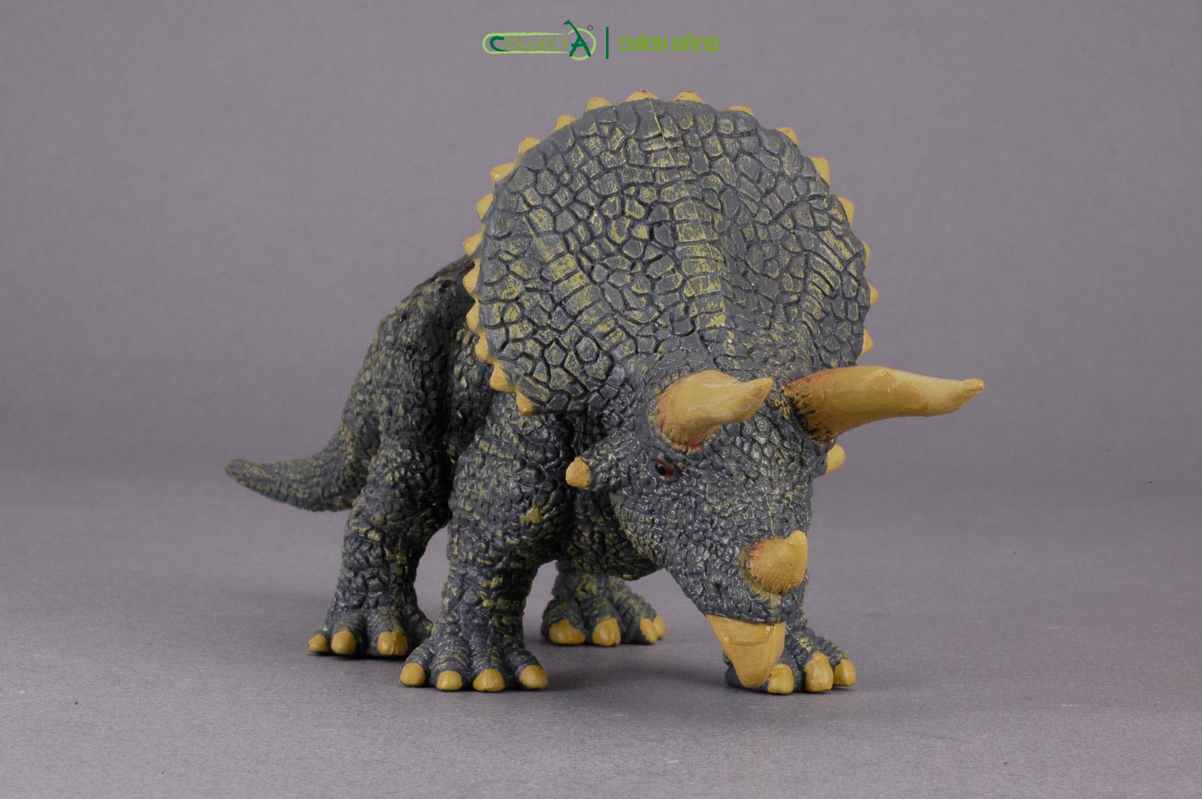 Mô hình thu nhỏ: Khủng Long Triceratops  - Triceratops, hiệu: CollectA, mã HS 9654020[88037] -  Chất liệu an toàn cho trẻ - Hàng chính hãng