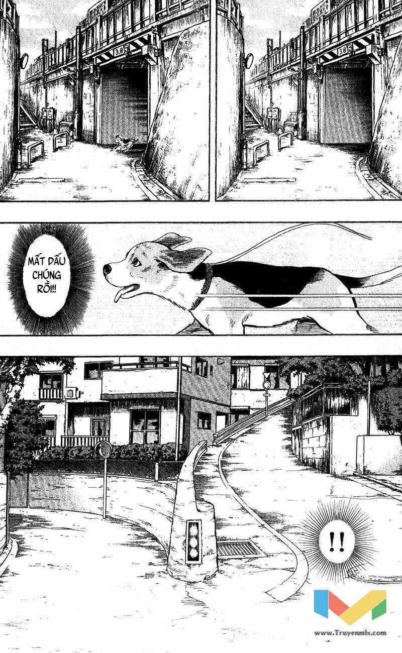 animal sense chapter 1 41