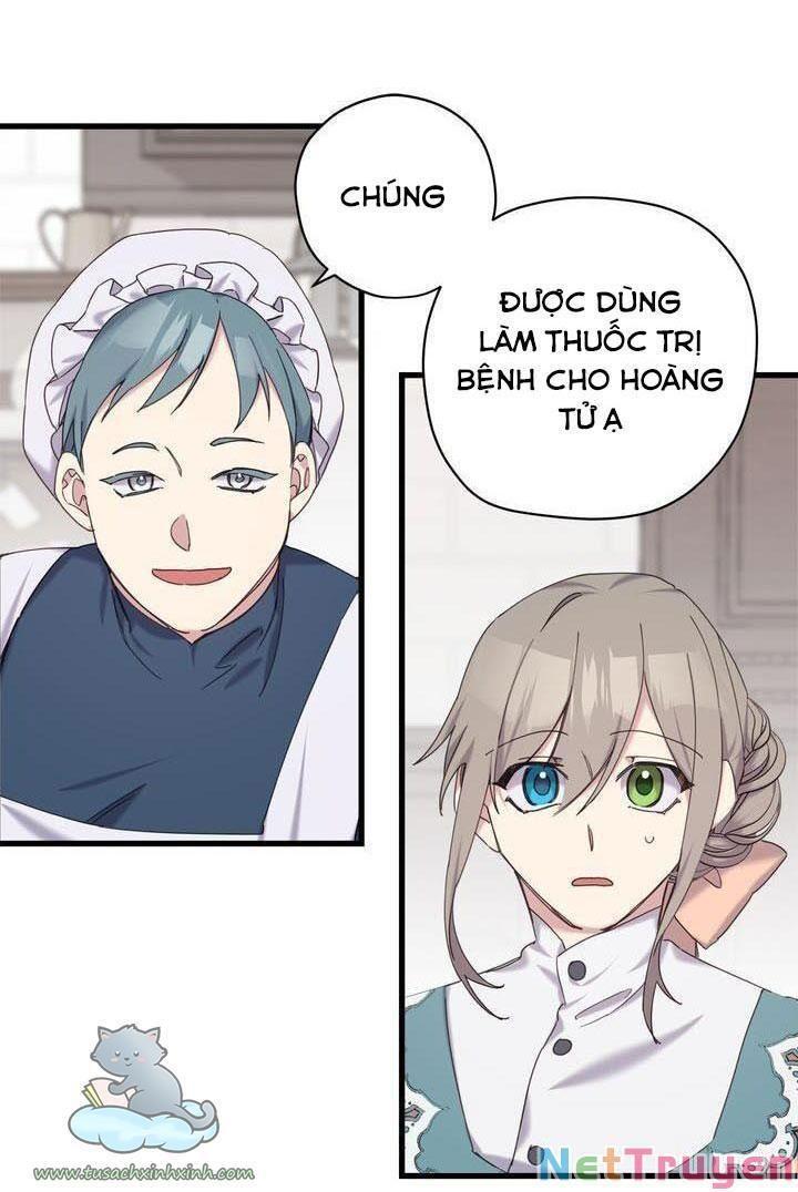 xin hãy cứ khóc, thái tử chapter 16 50