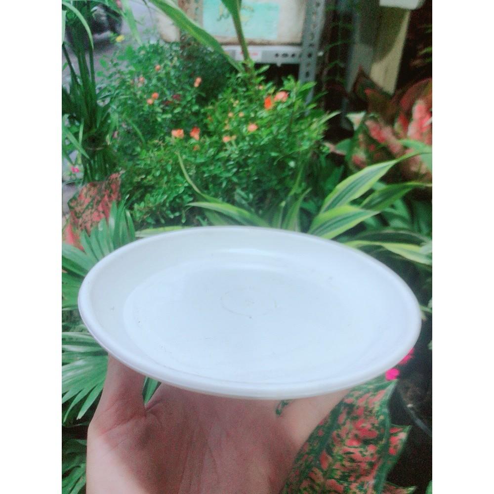 Đĩa Lót Chậu đường kính 17-23cm