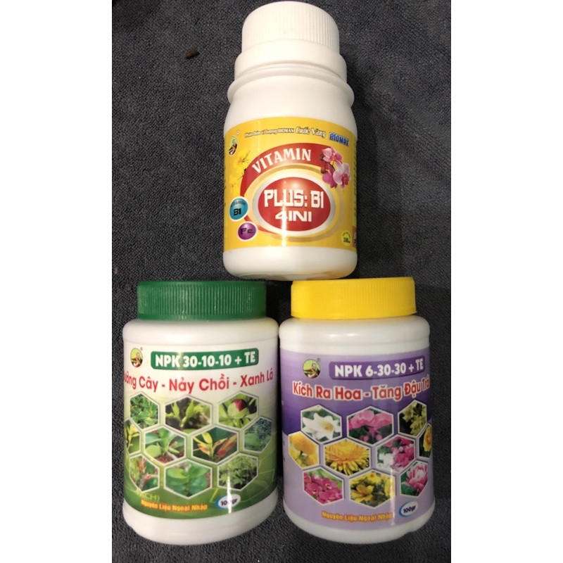 Bộ ComBo 3 Món DƯỠNG CÂY - KÍCH RA HOA - VITAMIN B1 Chuyên Dùng Cho Phong Lan Hoa Kiểng - Npk 30-10-10 Và 6-30-30 Và