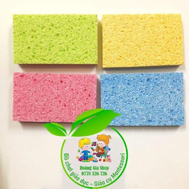 Bọt biển Cellulose Sponges