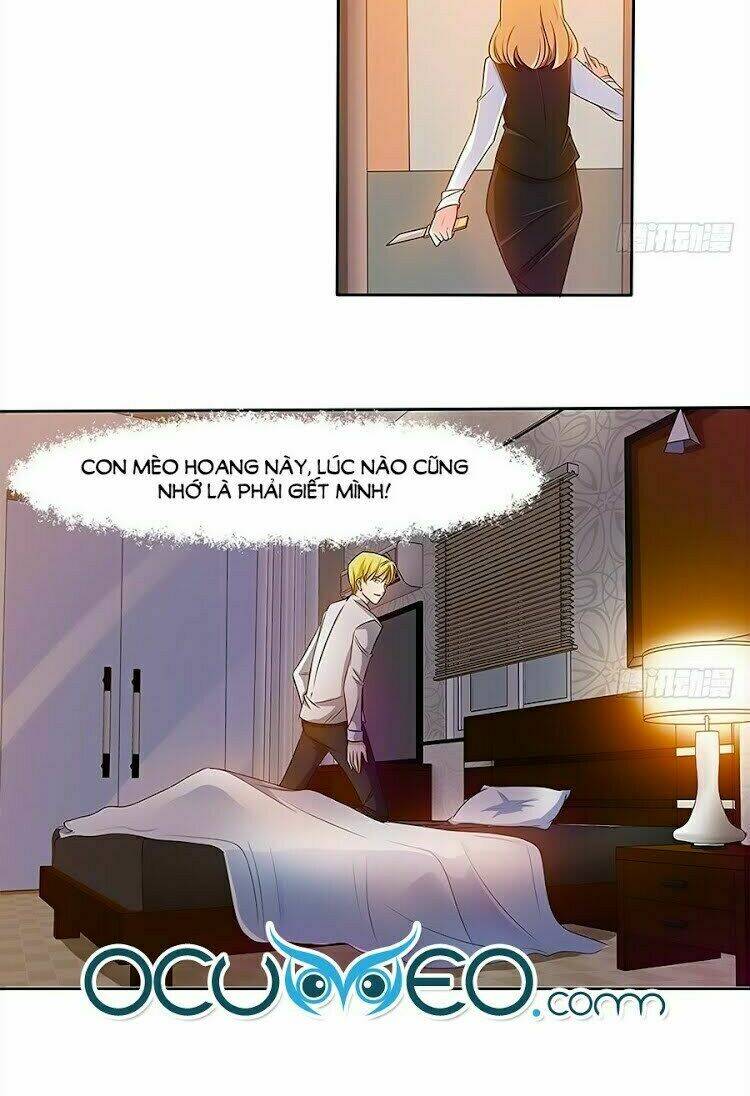 chủ tịch và nữ sát thủ chapter 19 13