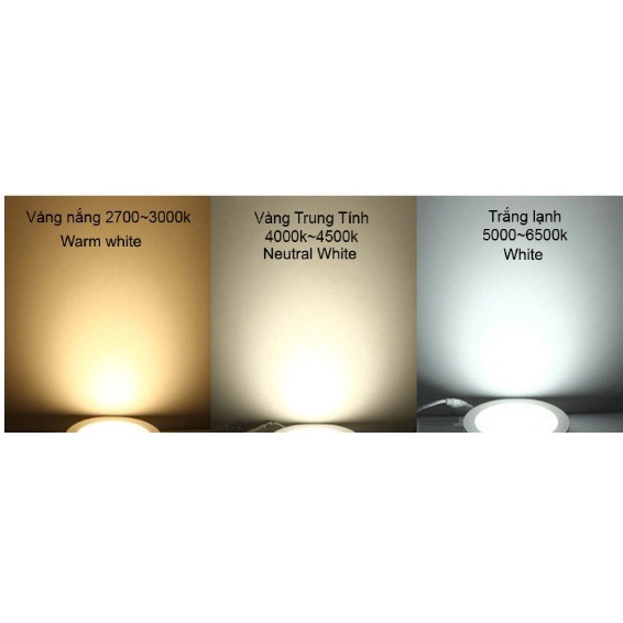 [Mua Sỉ] ĐÈN LED RỌI ỐNG BƠ 30W, ĐÈN TRANG TRÍ SHOP, HL-CR30 Hàng Chính Hãng