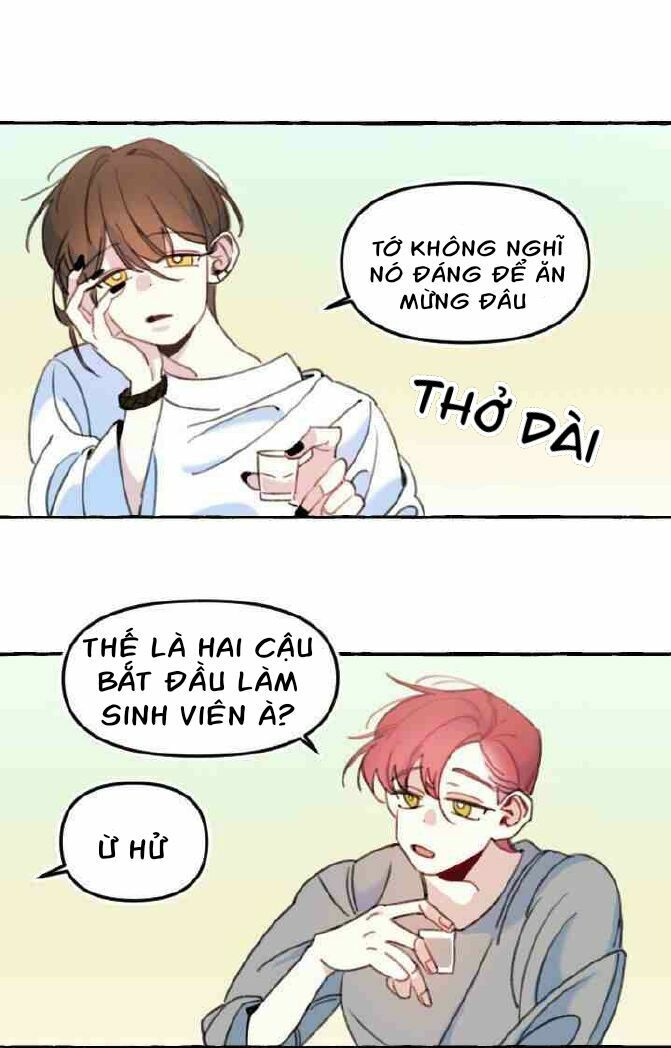 lời yêu thì cần app để dịch không? chapter 1 5